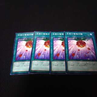 天啓の薔薇の鐘