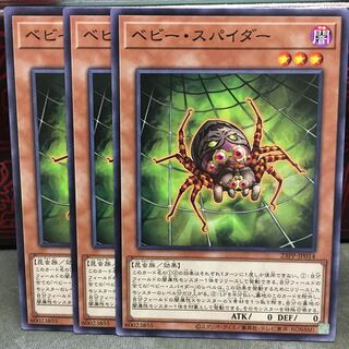 No.1937 P屋　ベビー・スパイダー 【ノー】