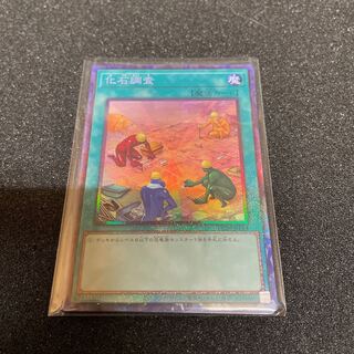 Fossil Dig Collector's Rare JP054