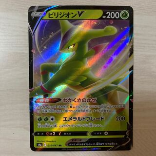 ビリジオンV RR 010/067