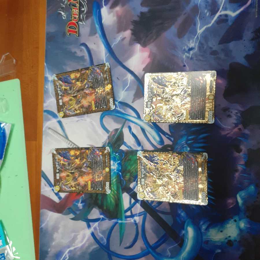 煌龍サッヴァーク4枚