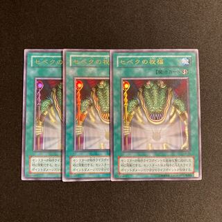 s70 セベクの祝福 ウルトラレア 3枚セット 遊戯王 トレトレ