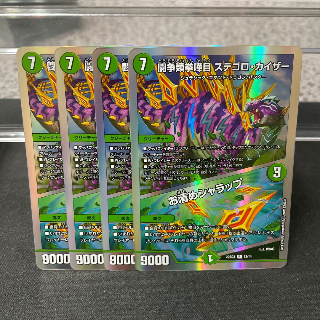 闘争類拳嘩目 ステゴロ・カイザー｜お清めシャラップ R 12/14