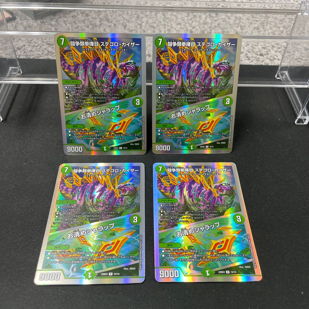 闘争類拳嘩目 ステゴロ・カイザー｜お清めシャラップ R 12/14