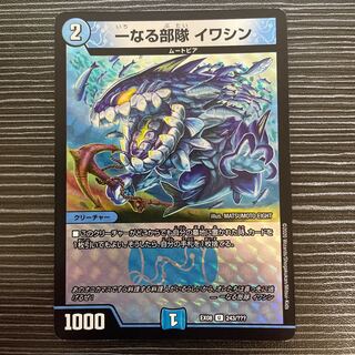 One unit Iwashin U-foil 243/????? 1枚