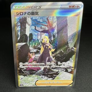 シロナの覇気 SAR 239/172