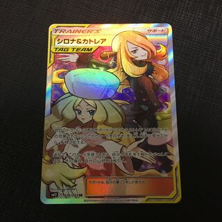 (状態確認用)シロナ&カトレア