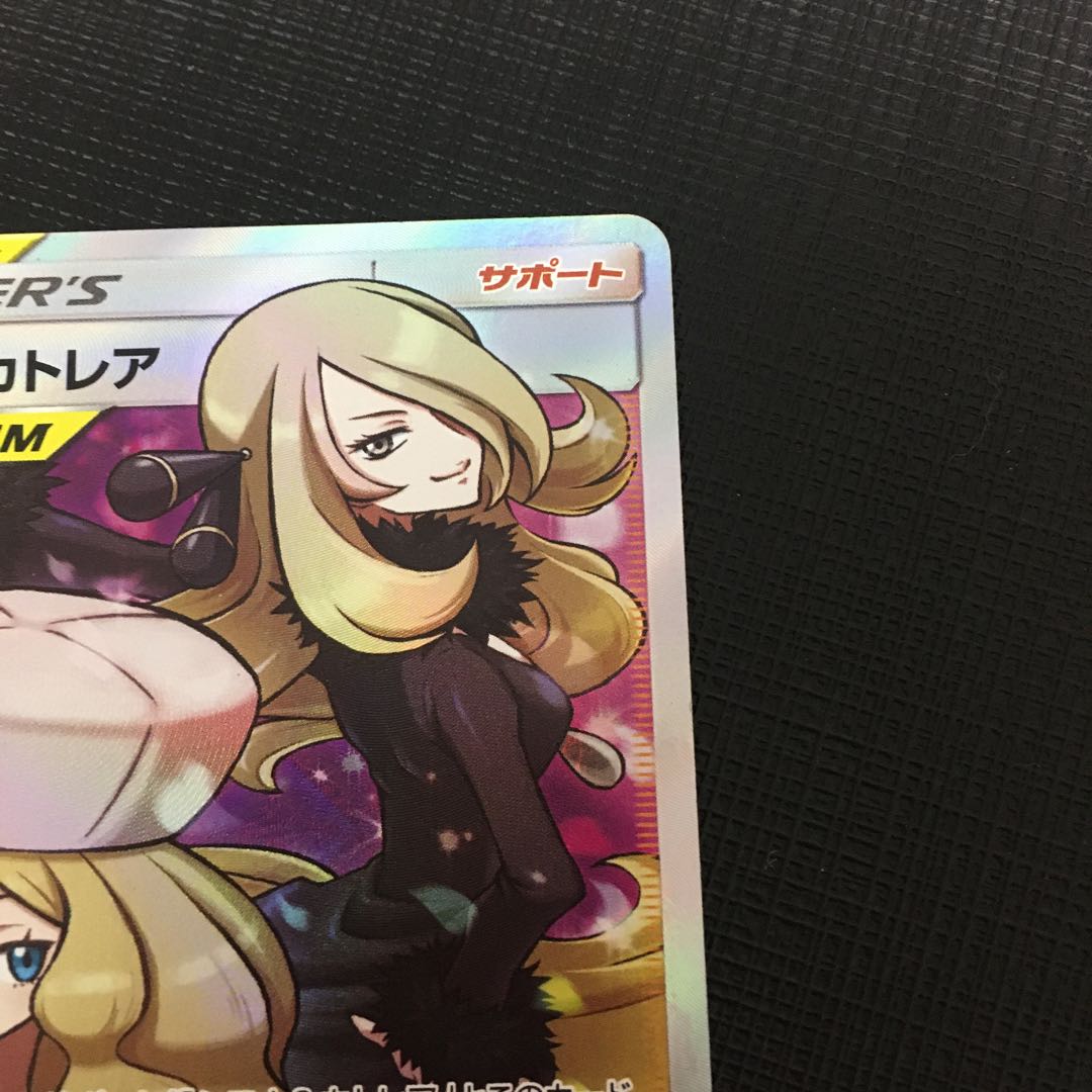 (状態確認用)シロナ&カトレア