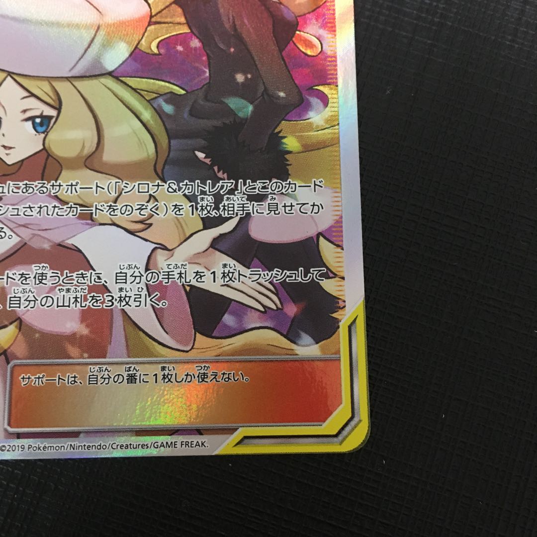 (状態確認用)シロナ&カトレア