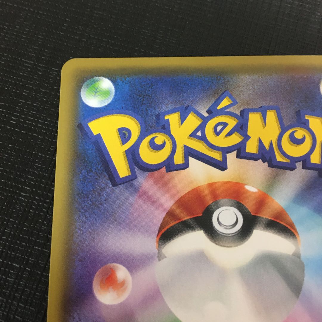 (状態確認用)シロナ&カトレア