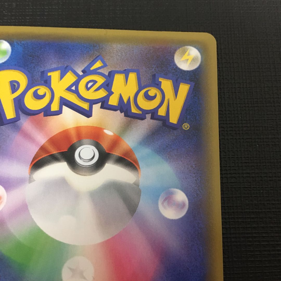 (状態確認用)セイボリーHR