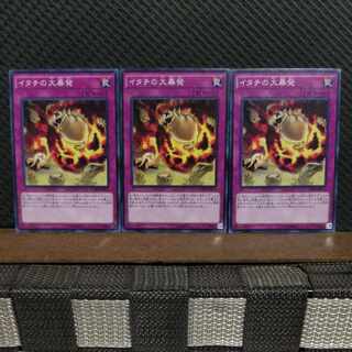 Popotan] Yu-Gi-Oh! #2004 Ferret Flames - Normal - 3 copies