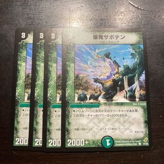 爆発サボテン C 54/55