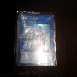 聖騎士の追想 イゾルデ