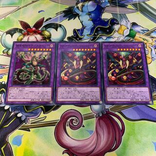 スターヴヴェノムフュージョンドラゴン・捕食植物ドラゴスタペリア 3枚セット