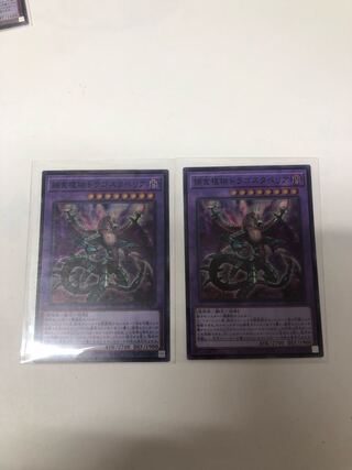 Predaplant Dragostapelia Super Rare JP028 Set of 2