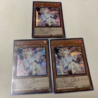 灰流うらら シークレットレア シク 絵違い 3枚セット