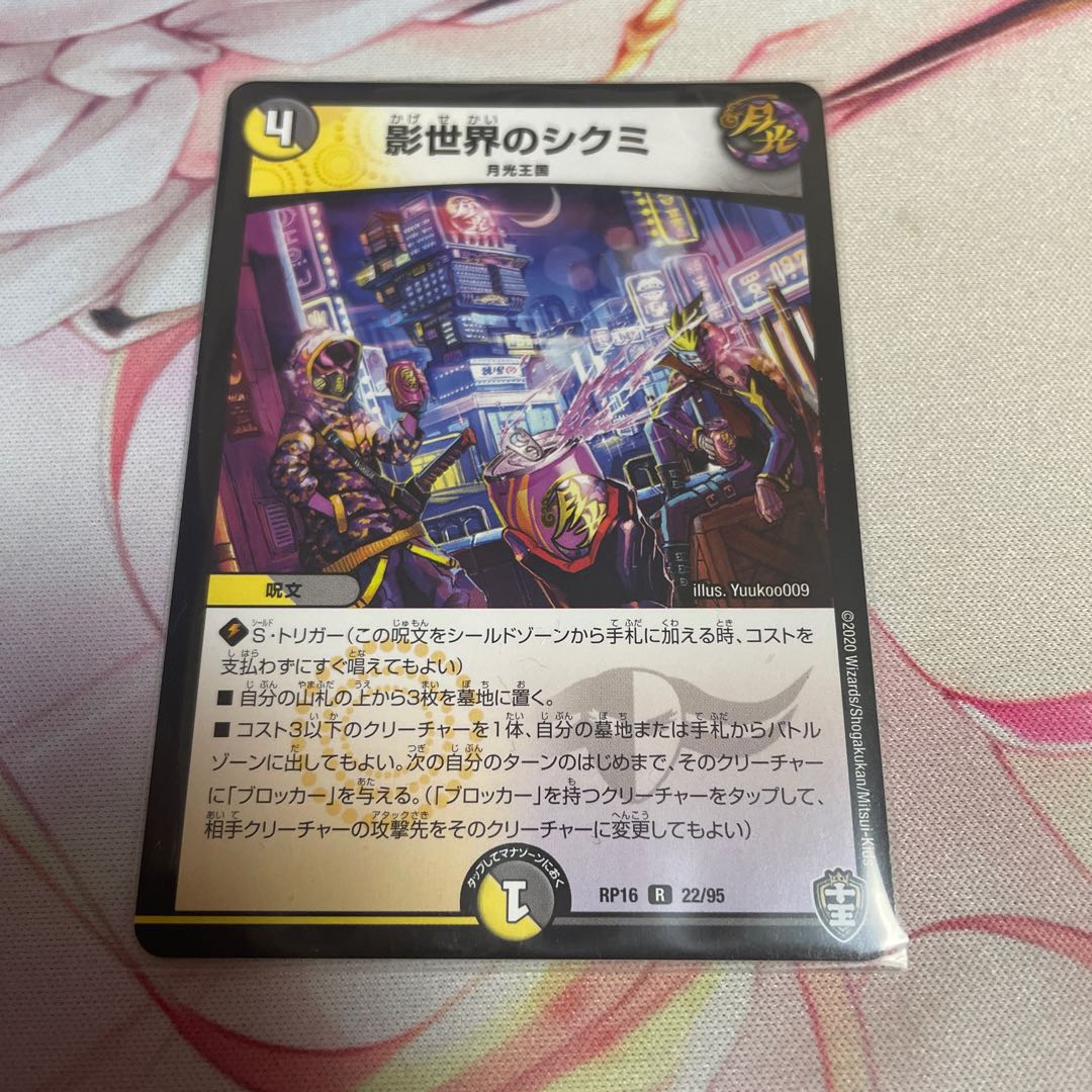 Shikumi in the shadow world R 22/95