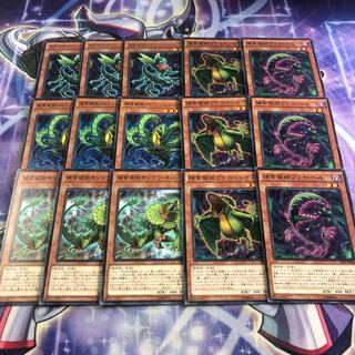 遊戯王No.91補食植物セットプレデタープランツ