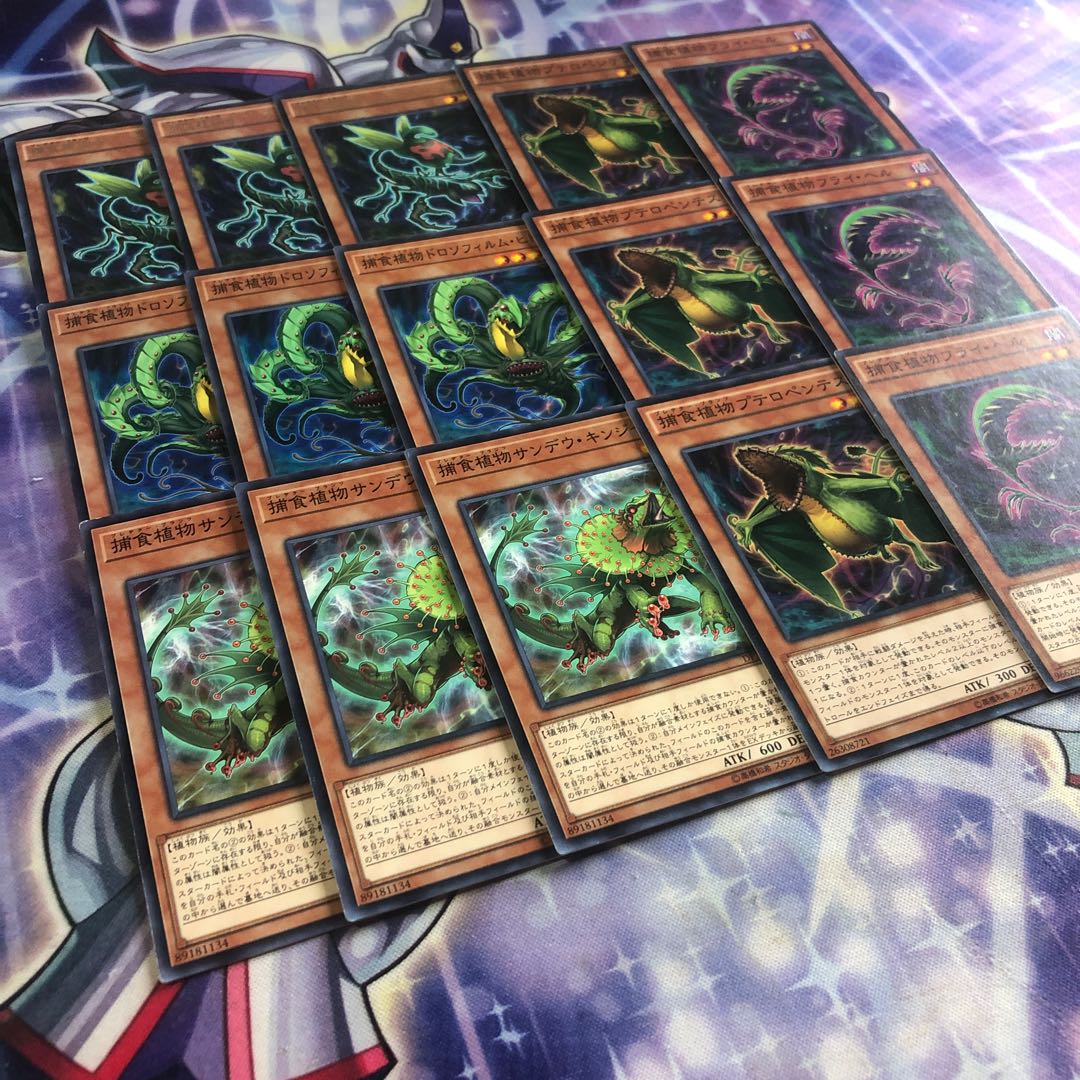 遊戯王No.91補食植物セットプレデタープランツ