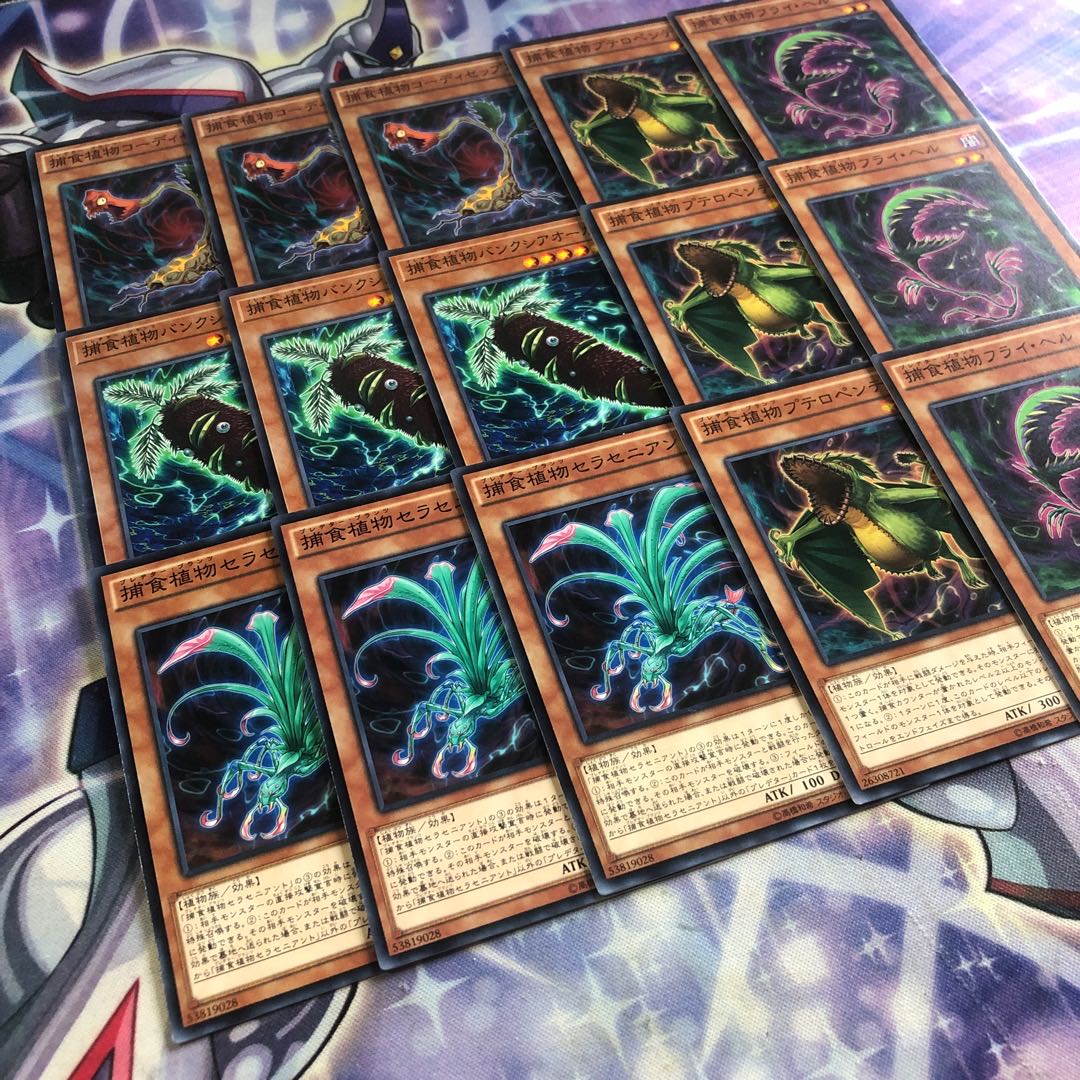 Yu-Gi-Oh No.96 Complementary Edible Plant Set Predator Plants