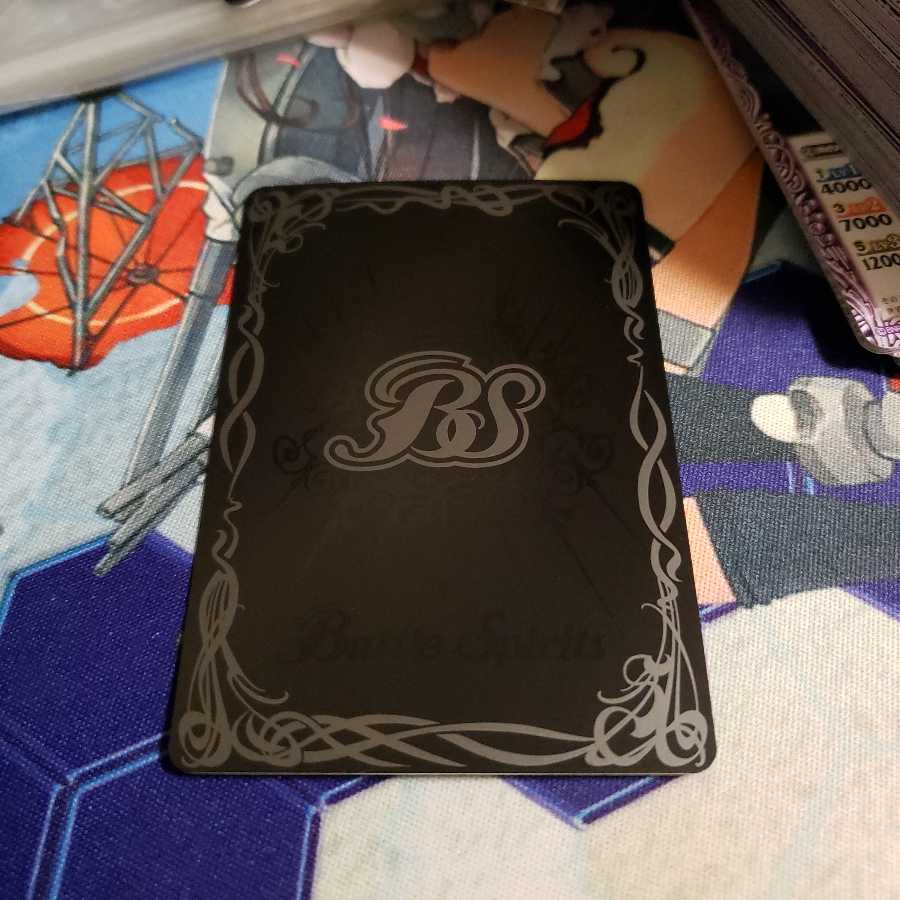 アポロ@プロフ必見様専用 1枚