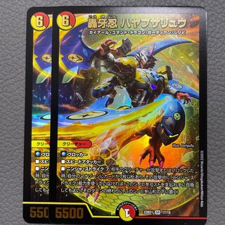 Roaring Fang Shinobi Hayabusa Ryu SR