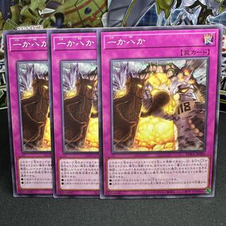 一か八か ノーマルレア JP080