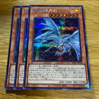 Blue-Eyes Alternative White Dragon Secret Rare JP008