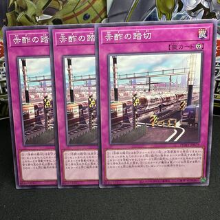 赤酢の踏切 ノーマル JP079