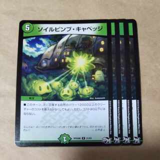 ソイルピンプ・キャベッジ　4枚