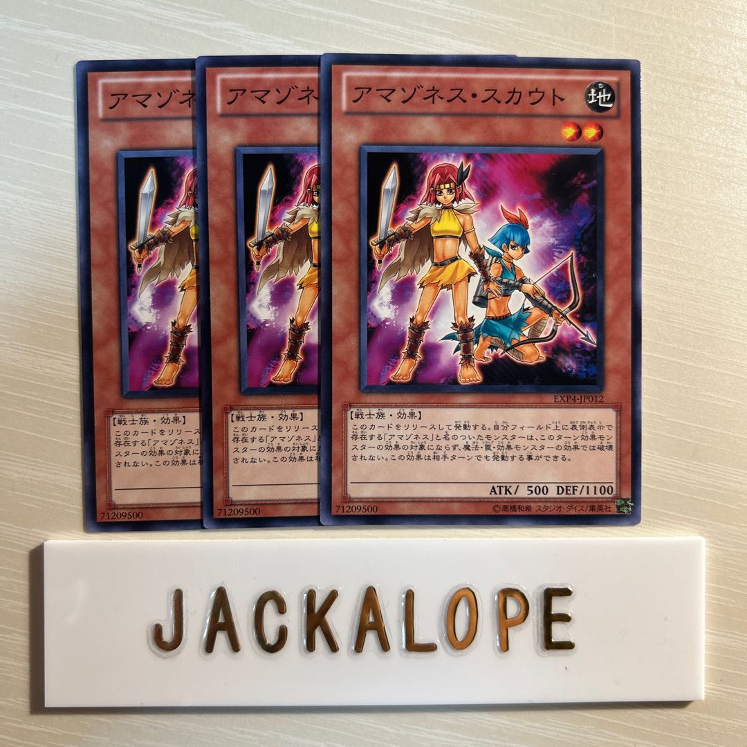 Amazoness Scouts $7044