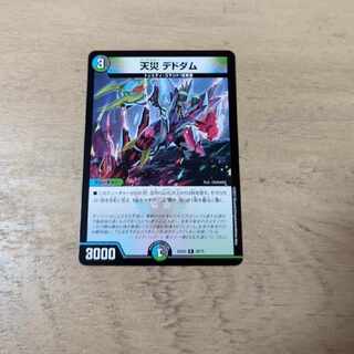 天災 デドダム R 33/75 1枚