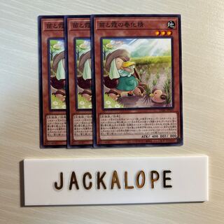 苗と霞の春化精 $7069