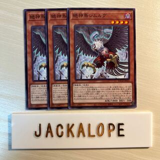 10699 Exquisite Simorgh, Bird of Divinity $7081