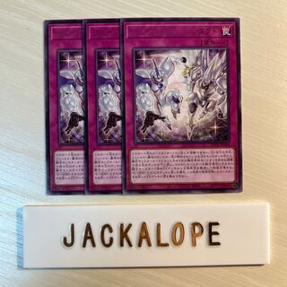 フェイバリット・コンタクト $7087