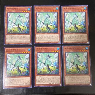 氷水のアクティ ノーマル JP008 6枚セット