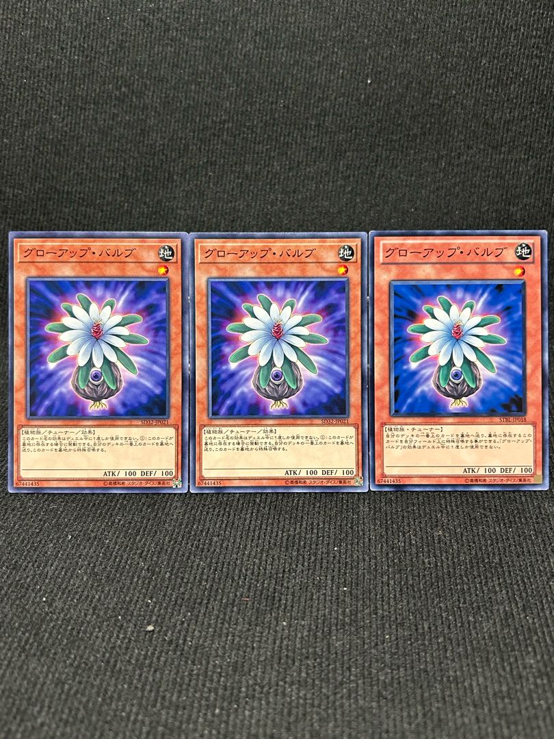 グローアップ・バルブ ノーマル JP021 3枚