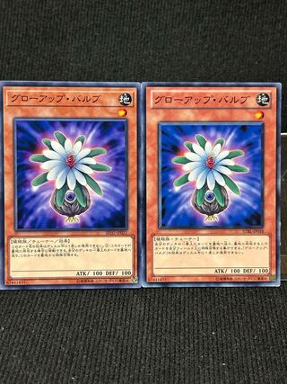 グローアップ・バルブ ノーマル JP021 2枚