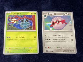 Pineco C 001/078, Forest U057/078