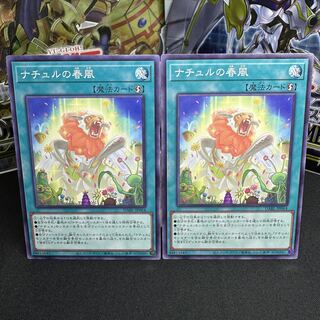 ナチュルの春風 ノーマル JP064