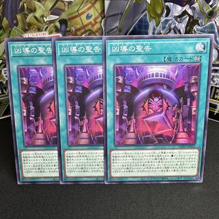 まるとめ様専用　凶導の聖告 ノーマル JP055