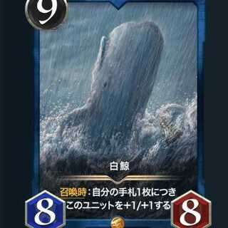 White whale, no spi.