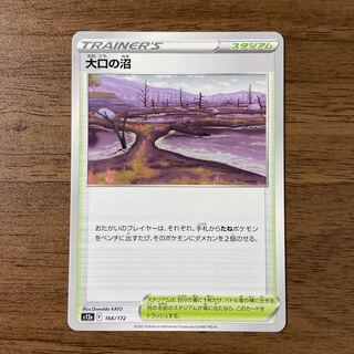 大口の沼 166/172