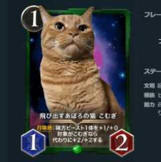 Set of 2 Pop-up Apolo's Cat Komugi