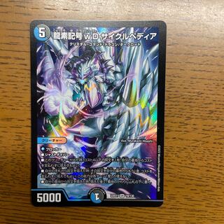 龍素記号wD サイクルペディア SR 18/130