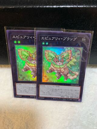 Epurely Plump Super Rare JP016