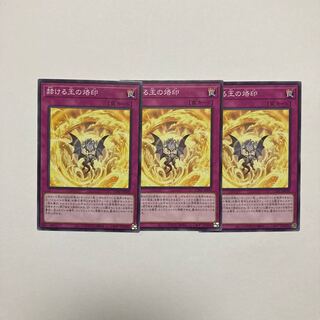 Brand of the Brilliant King Normal JP070