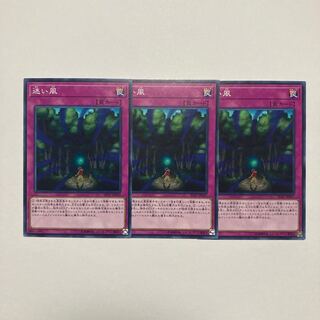 迷い風 ノーマル JP037