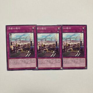 Red Vinegar Crossing Normal JP079